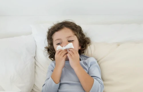 鼻炎为什么会让人变蠢？
